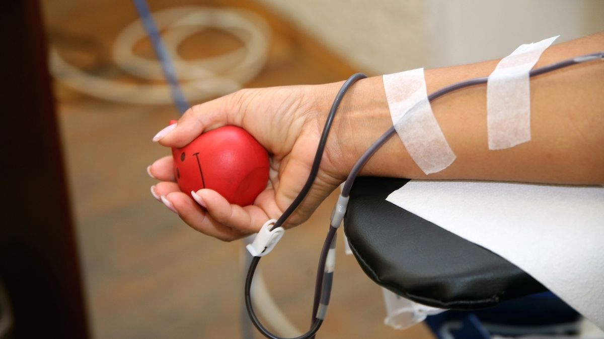 Rodiče v Itálii odmítají krev očkovaných dárců pro syna před operací